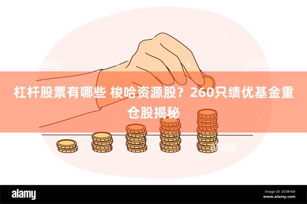 杠杆股票有哪些 梭哈资源股？260只绩优基金重仓股揭秘