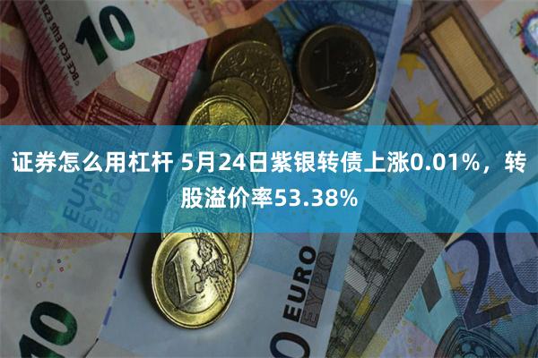 证券怎么用杠杆 5月24日紫银转债上涨0.01%，转股溢价率53.38%