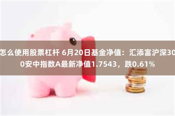 怎么使用股票杠杆 6月20日基金净值：汇添富沪深300安中指数A最新净值1.7543，跌0.61%