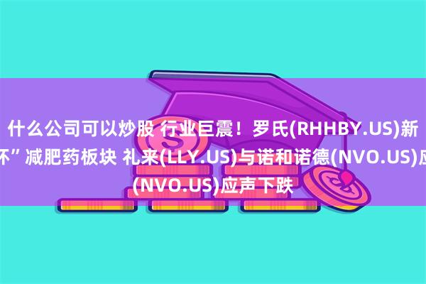 什么公司可以炒股 行业巨震！罗氏(RHHBY.US)新药 “吓坏”减肥药板块 礼来(LLY.US)与诺和诺德(NVO.US)应声下跌