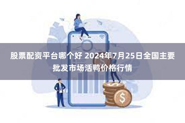 股票配资平台哪个好 2024年7月25日全国主要批发市场活鸭价格行情