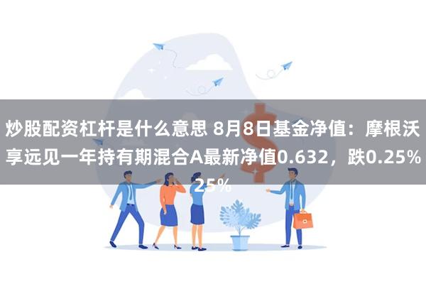 炒股配资杠杆是什么意思 8月8日基金净值：摩根沃享远见一年持有期混合A最新净值0.632，跌0.25%